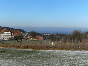 Blick zum Bodensee